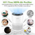 True HEPA Air Purifier Hepa Filter4 SpeedsTimers Ionizer Cold Plasma 360? Air Inlet 99.9% Removal Rate For Indoor Bedroom 250617