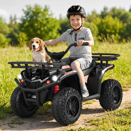 24V Electric Ride On Quad with LED Headlights-Black-2 Pieces - Color: (2 pieces) Black + Black