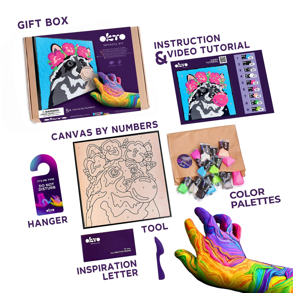 Coloring with clay set by numbers RACCOON