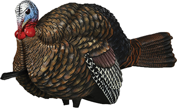 Avian X 1/2 Strut Jake Turkey Decoy