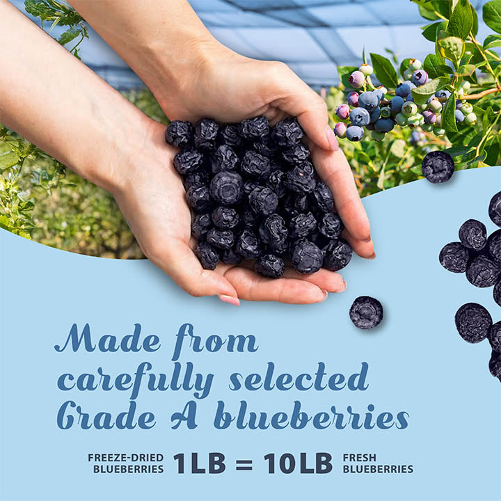 Freeze-Dried Blueberry - Grade A Blueberries - Ideal for Snacks - Single Ingredient