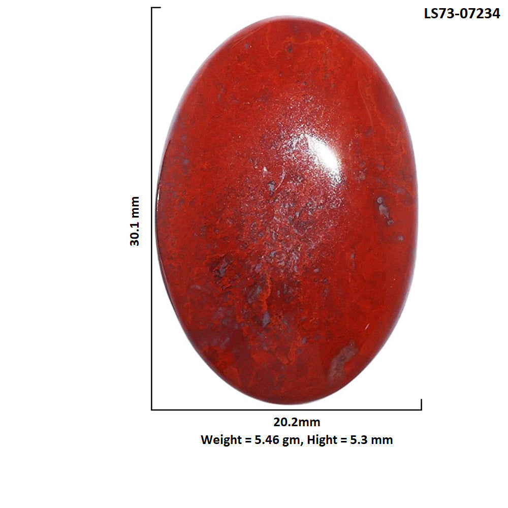 Red Moss Agate 20.2x30.1x5.3 mm Oval Shape Polished Gemstone LS73-07234