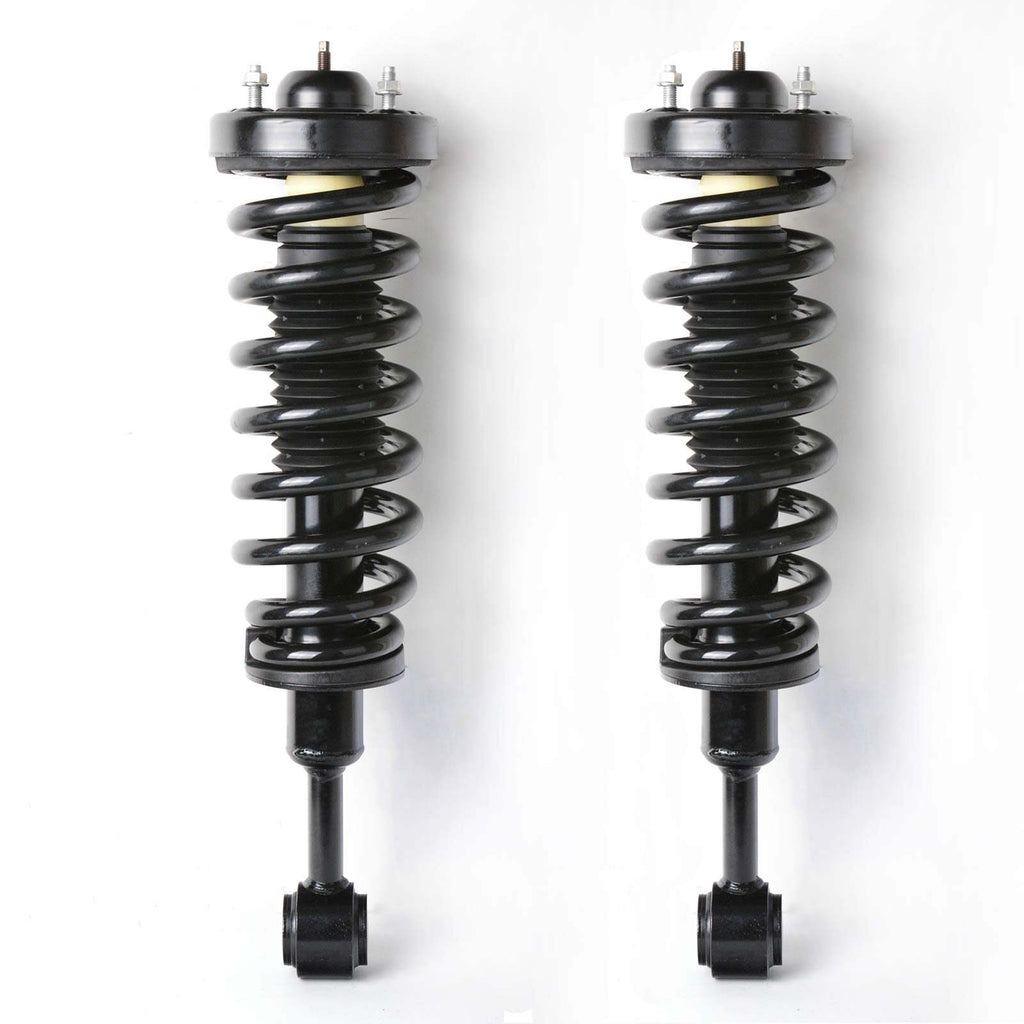 US GARVEE Front Pair Complete Strut Spring Assembly Compatible for 2004-2008 F150 -171361