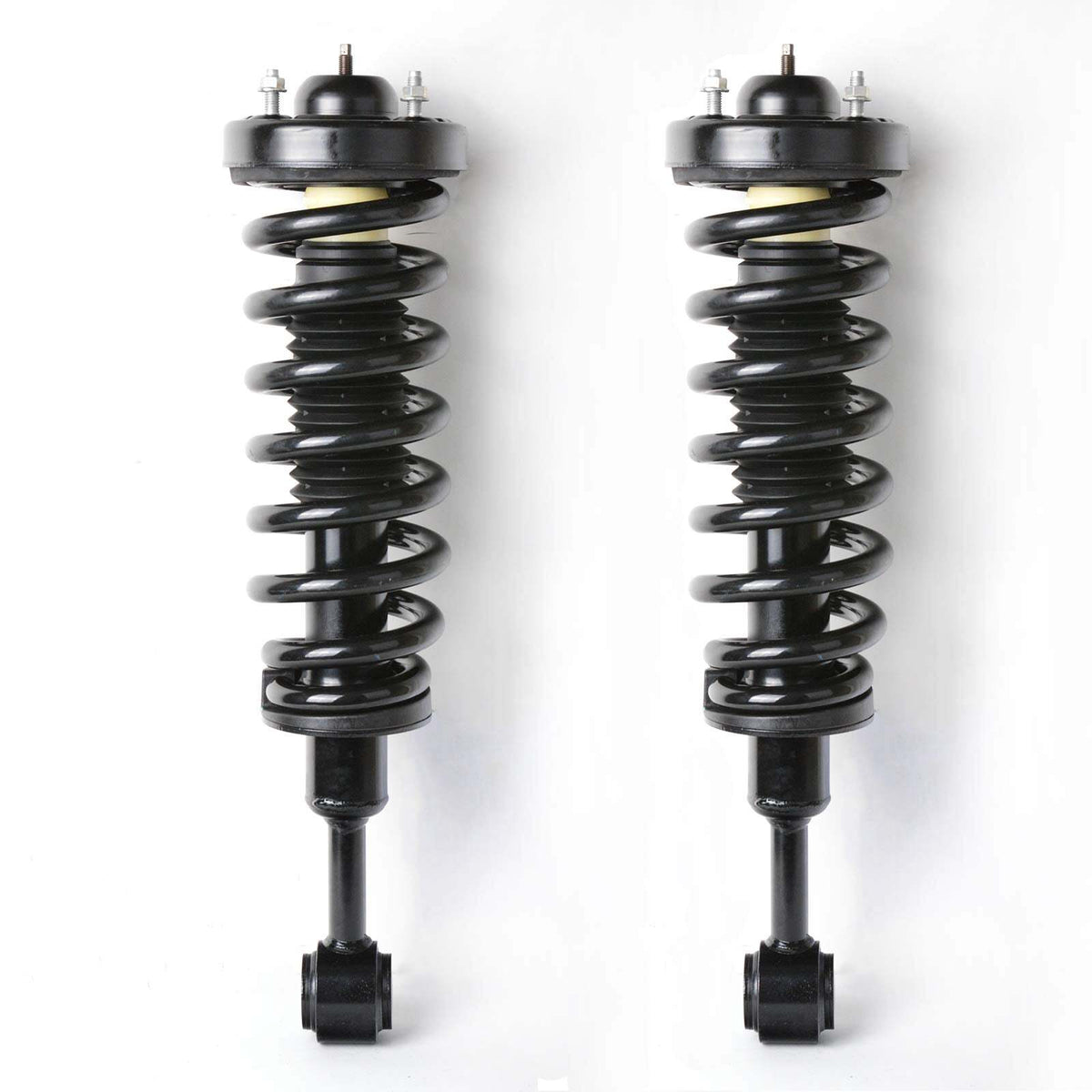 US GARVEE Front Pair Complete Strut Spring Assembly Compatible for 2004-2008 F150 -171361