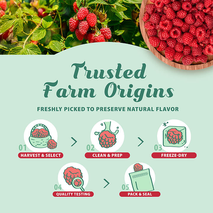 Freeze-Dried Raspberry Whole - Grade A Raspberries - Single Ingredient