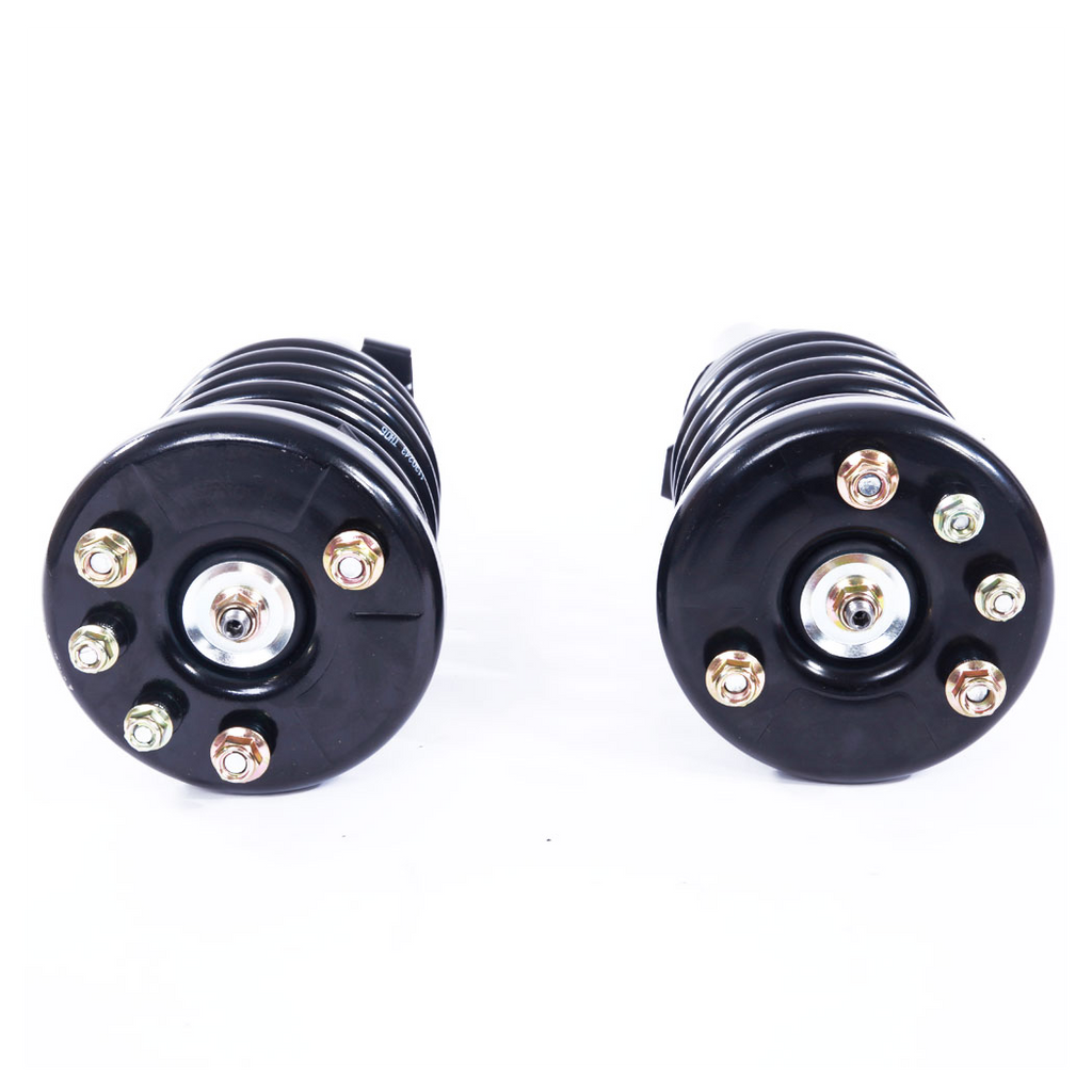 2 Pcs Iron Shock Absorber 17-171691R-171691L JB Black
