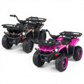 24V Electric Ride On Quad with LED Headlights-Black+Pink - Color: (2 pieces) Black + Pink